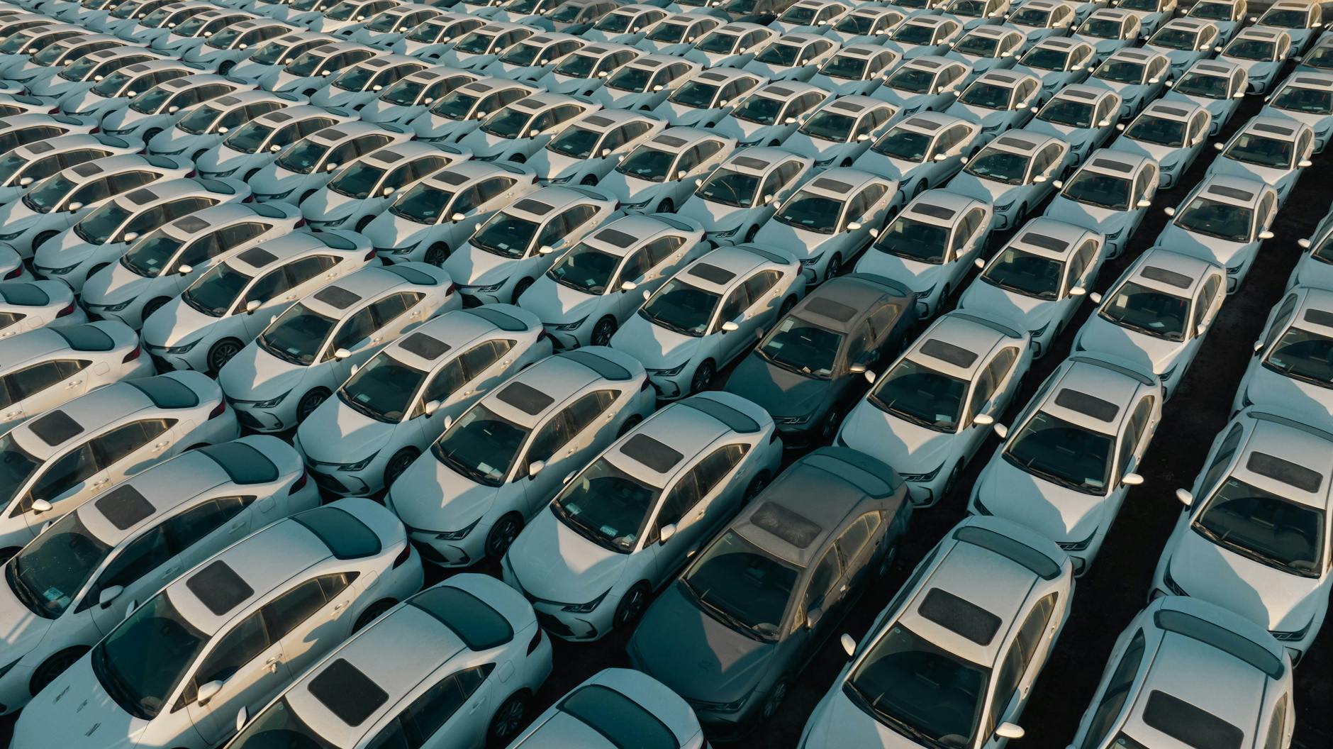 Detailansicht: Nothammer Auto