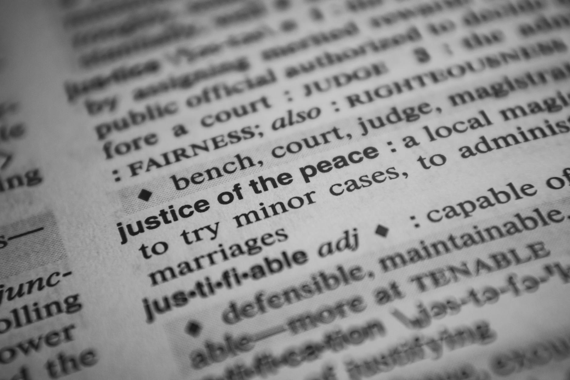 Detailansicht: Remigration Definition