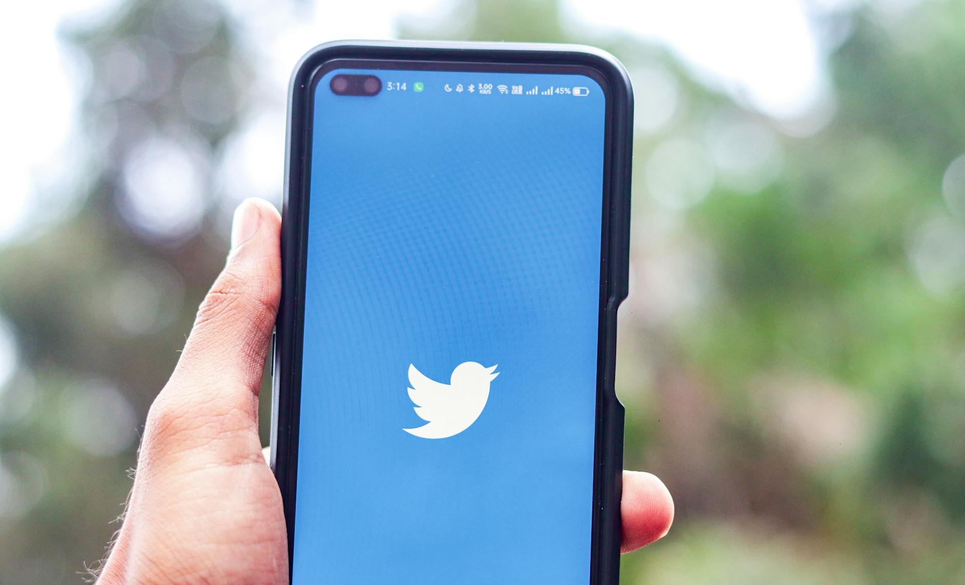 Illustration zu Social Media Trend Berge