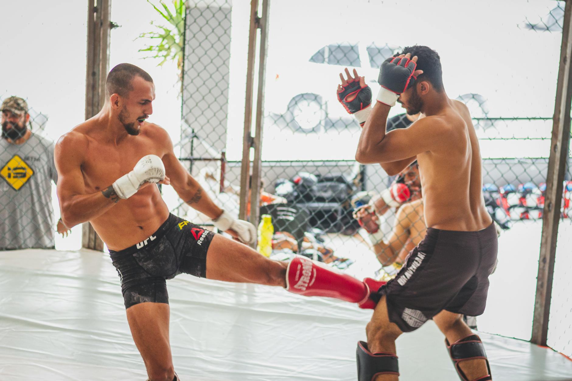 Symbolbild zum Thema Ufc