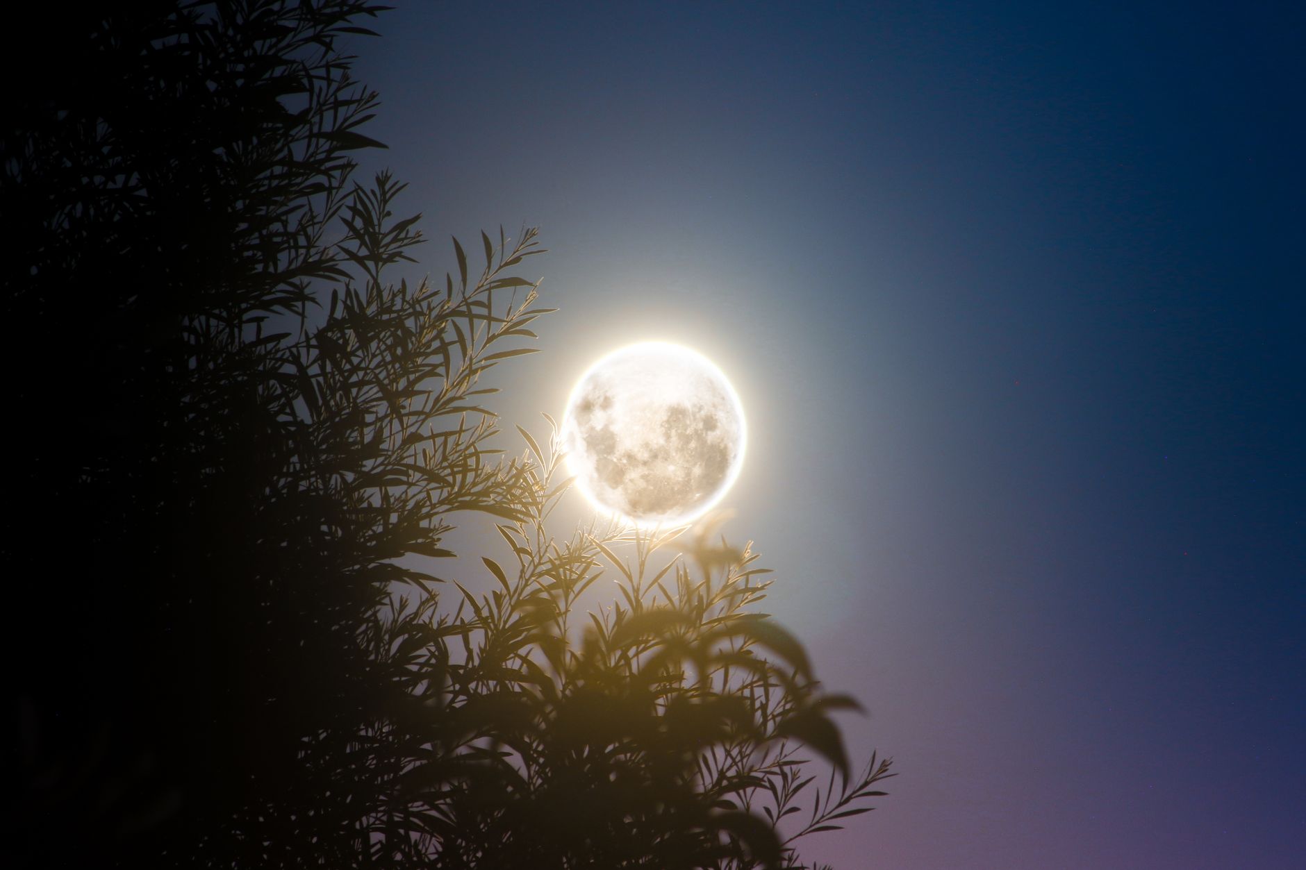 Vollmond Mai 2026 Detailansicht: Vollmond Mai 2026