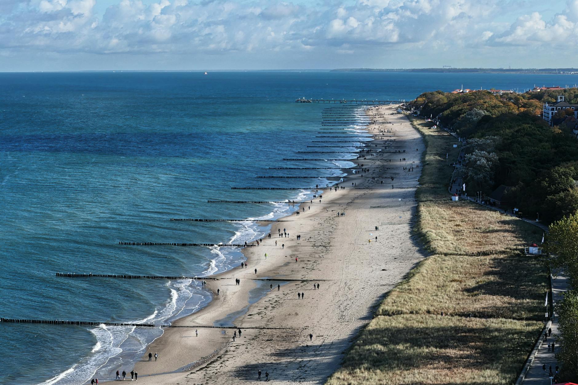Wal Strandung Ostsee Illustration zu Wal Strandung Ostsee