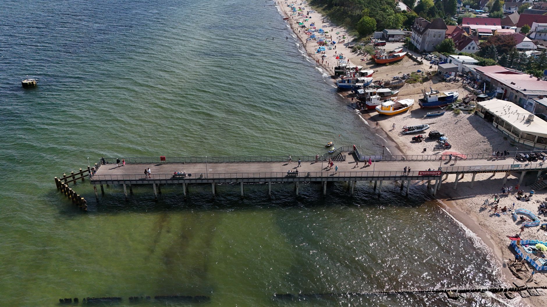 Wal Strandung Ostsee Symbolbild zum Thema Wal Strandung Ostsee