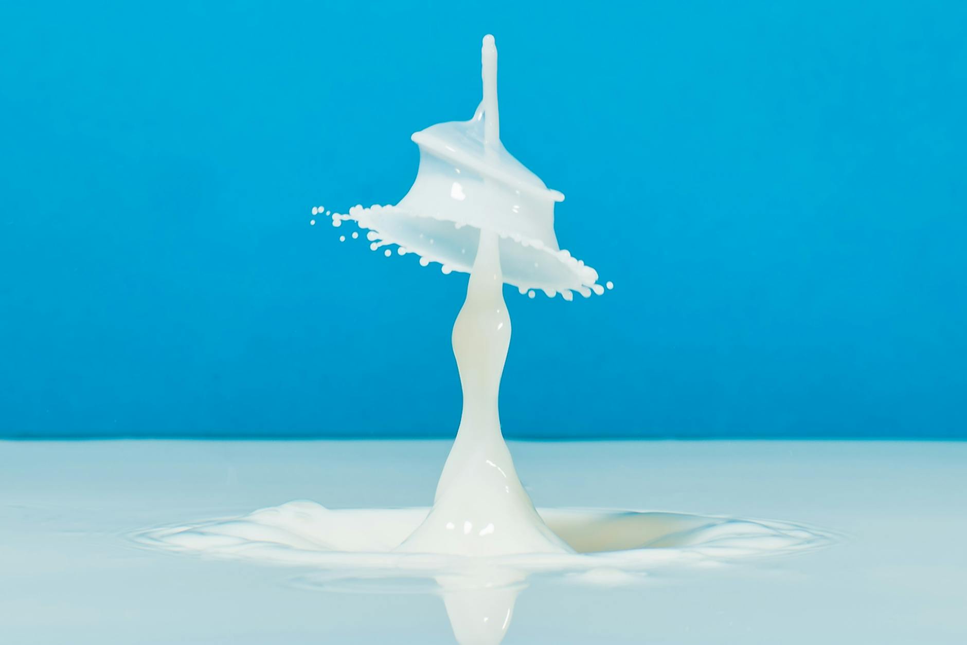 Milch Pflanze Symbolbild zum Thema Milch Pflanze